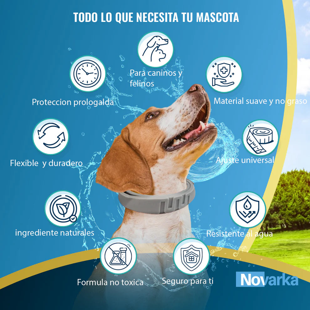 Collar Repelente Natural ✨ Anti Pulgas, Garrapatas y Mosquitos| Cuida la SALUD de Tu Mascota