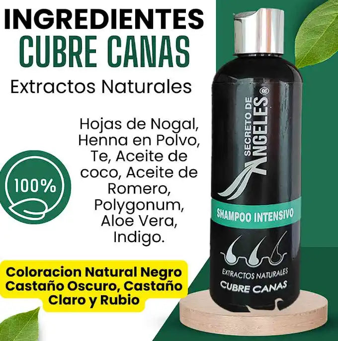 Shampoo Cubre Canas 🎁 Colágeno ➕ Resveratrol 🎁