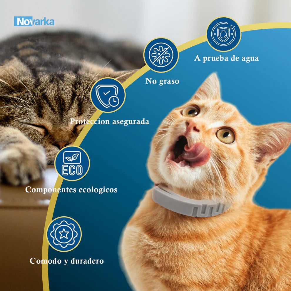 Collar Repelente Natural ✨ Anti Pulgas, Garrapatas y Mosquitos| Cuida la SALUD de Tu Mascota