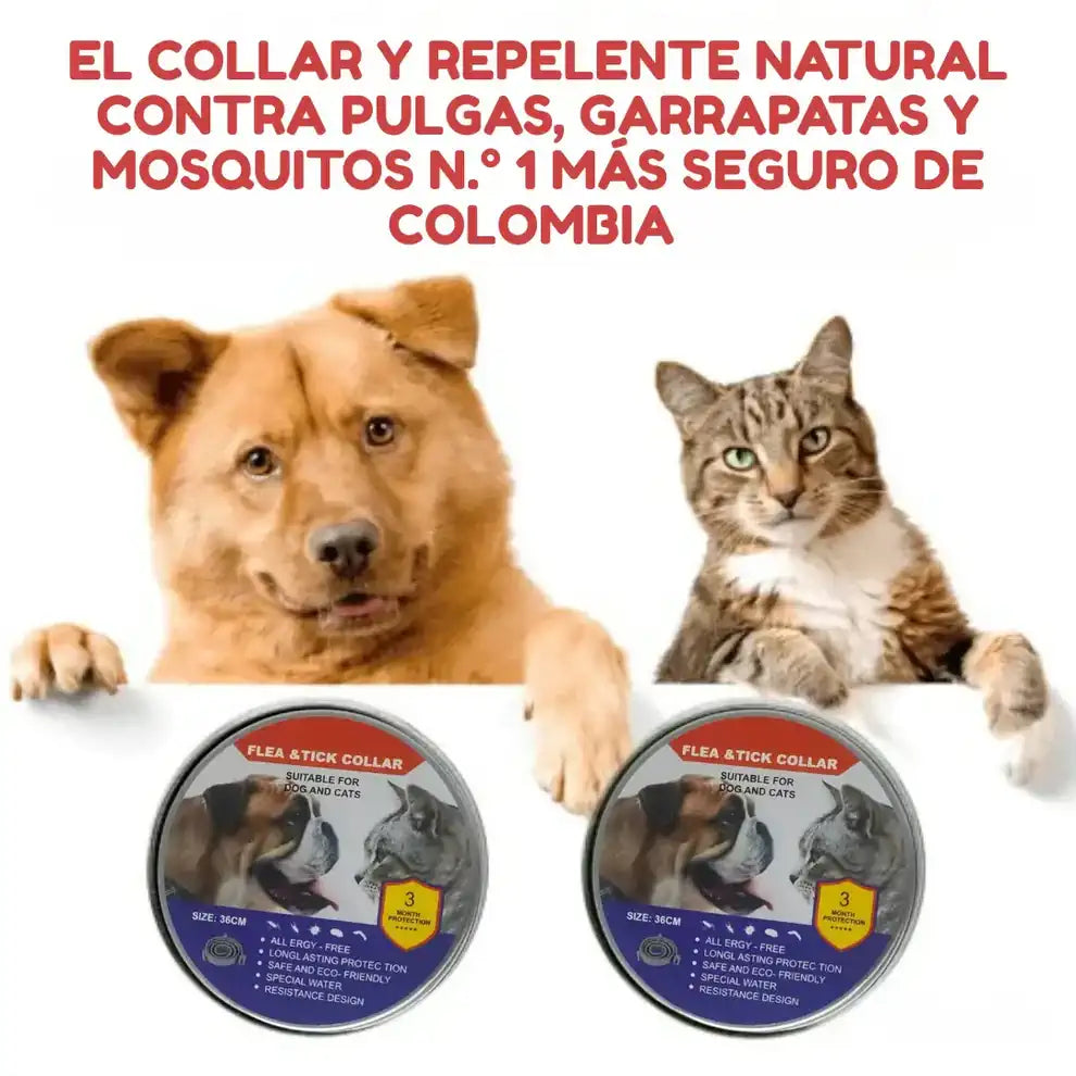 Collar Repelente Natural ✨ Anti Pulgas, Garrapatas y Mosquitos| Cuida la SALUD de Tu Mascota