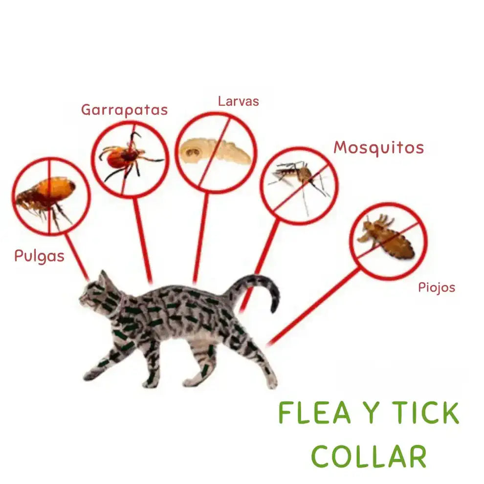 Collar Repelente Natural ✨ Anti Pulgas, Garrapatas y Mosquitos| Cuida la SALUD de Tu Mascota