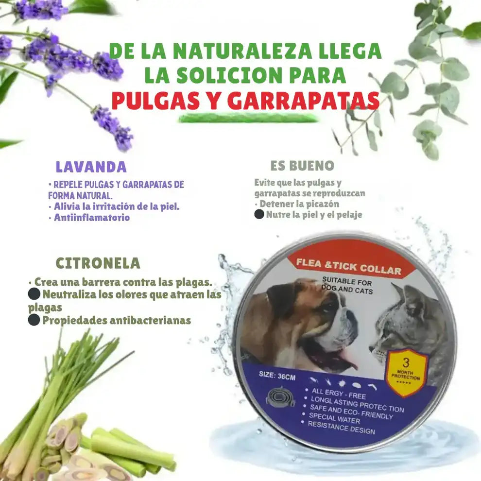 Collar Repelente Natural ✨ Anti Pulgas, Garrapatas y Mosquitos| Cuida la SALUD de Tu Mascota