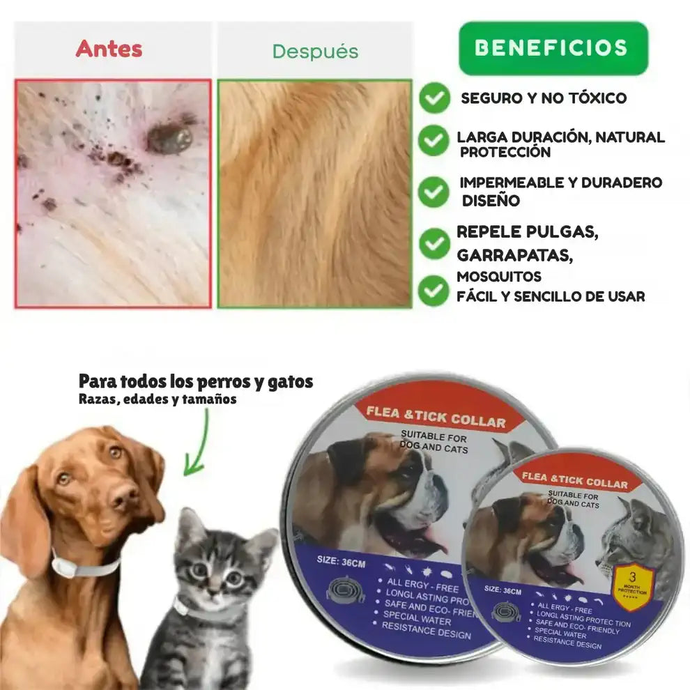 Collar Repelente Natural ✨ Anti Pulgas, Garrapatas y Mosquitos| Cuida la SALUD de Tu Mascota