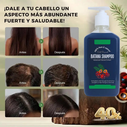 Shampoo Natural de Batana y Extracto de Romero ➕ Envío Gratis