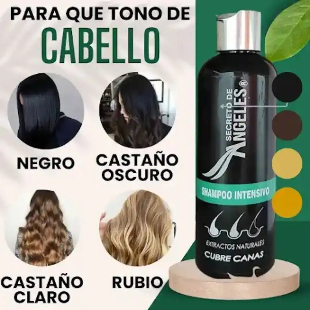 Shampoo Cubre Canas ✨Con Obsequio de 2 Colágenos 🎁 3 A PRECIO DE 1 ➕ Envío Gratis