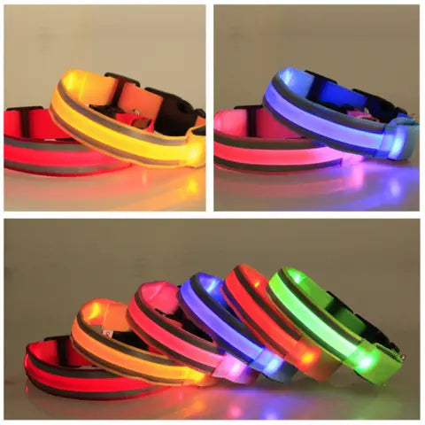 COLLAR LUMINOSO PARA MASCOTAS - OFERTA 2X1 ➕ Envío Gratis
